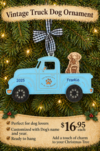 Chesapeake Bay Retriever