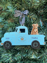 Staffordshire Terrier