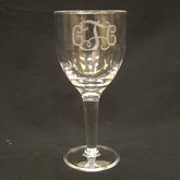Acrylic Wine Glasses - Set/4