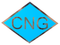 Set of 4 CNG Decals Model CNGDECAL
