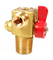CNG Tank Valve Model CNGTV