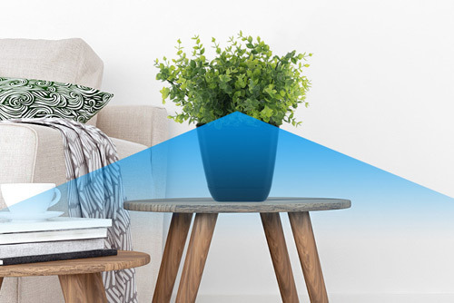 WiFi Boxwood Plant Hidden Camera WiFi Boxwood Plant Hidden Camera