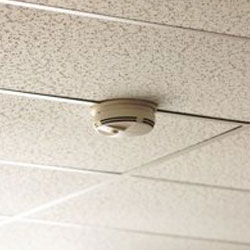 smoke-detector-hidden-camera-ceiling-mount.jpg
