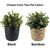Two Plant Pot Colors to Choose From