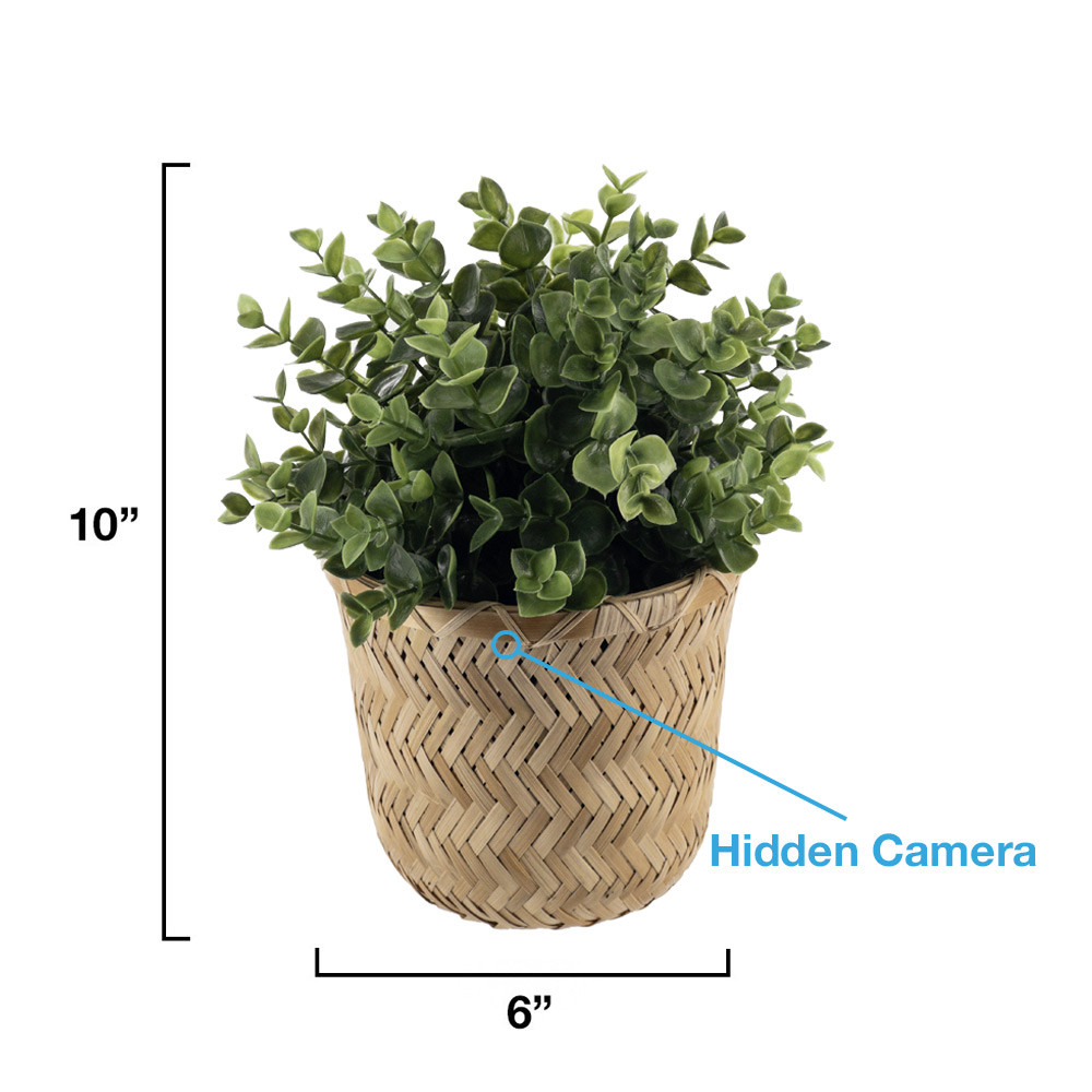 1080P HD WiFi Streaming Fake Plant Hidden Camera with Long Life Battery -  SpygearGadgets