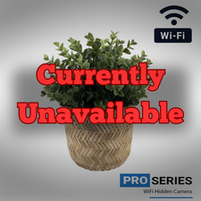 1080P HD WiFi Streaming Fake Plant Hidden Camera with Long Life Battery