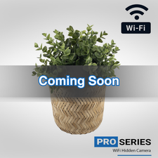 1080P HD WiFi Streaming Fake Plant Hidden Camera with Long Life Battery