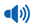 Audio Recorders