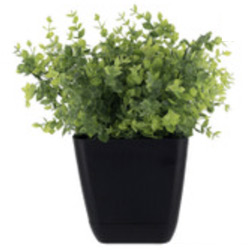 1080P HD WiFi Boxwood Fake Plant Spy Camera with Long Life Battery