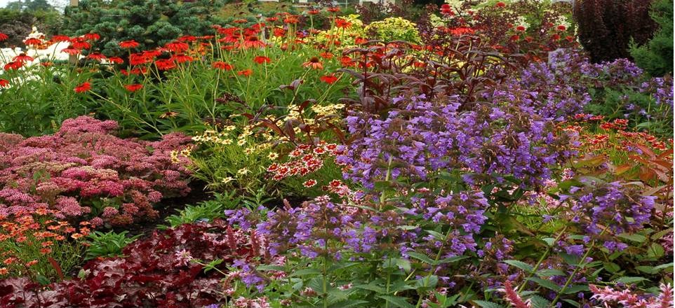 Mail order plant business for sale