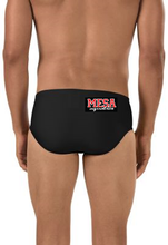 Mesa Team Brief with logo
