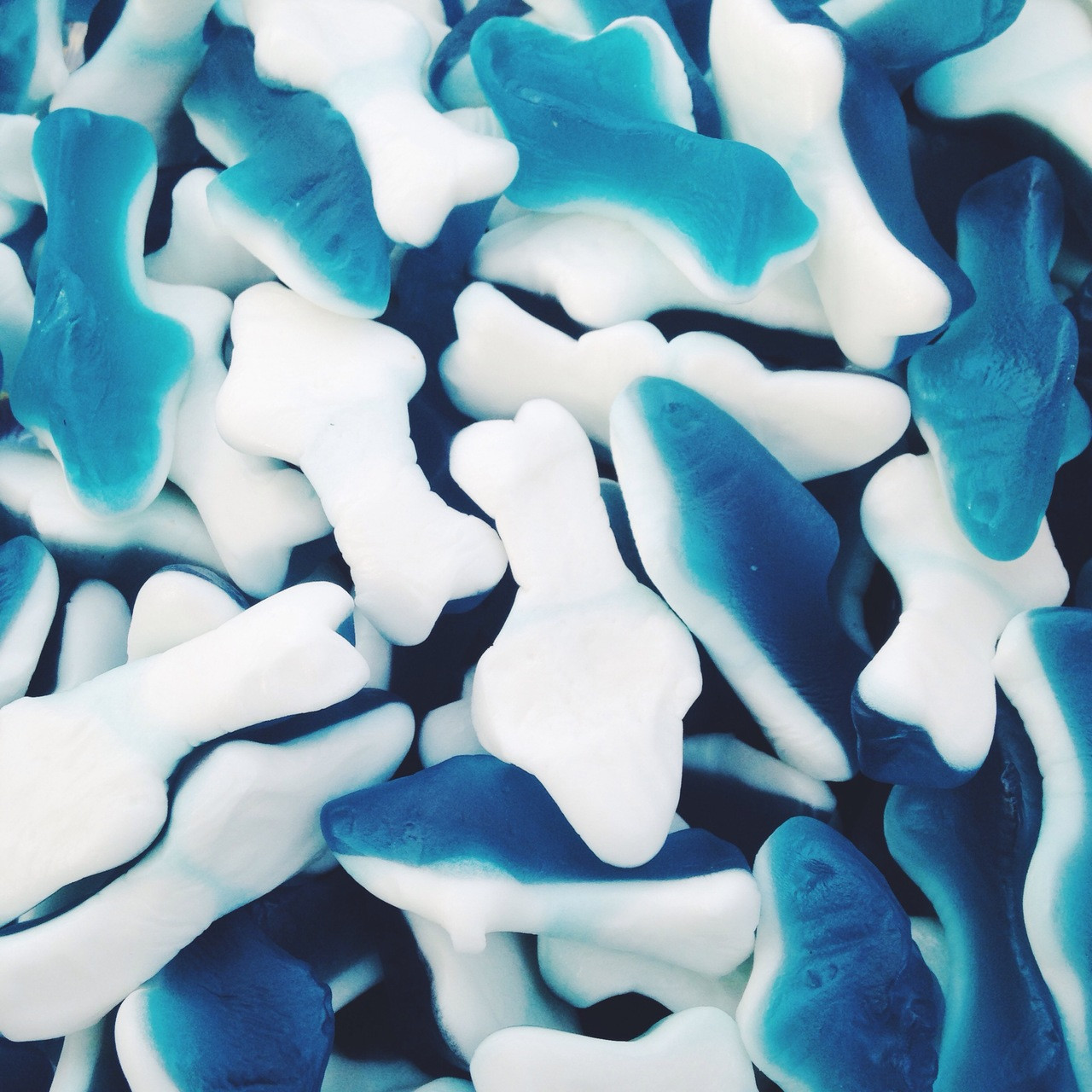 Blue and white gummy sharks Clearance