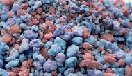 Cotton Candy Crunch 2lb BAG