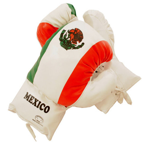 Kids 10 Oz MEXICO Faux Leather Boxing Gloves SPARRING YOUTH PRACTICE TRAINING 