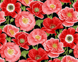 Poppy Meadow - Small Packed Poppies Red by Jane Shasky from Henry Glass Fabric