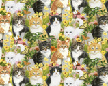Animal Love - Kittens and Daisies Multi from David Textiles Fabrics