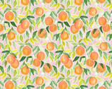 Orangie - Oranges Multi by Caitlin Collection from Dear Stella Fabric