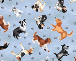 Dogs - Dogs Allover Blue from Timeless Treasures Fabric