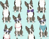 A Dog’s Life - French Bulldog Turquoise from 3 Wishes Fabric