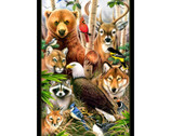 Wildlife Refuge - PANEL 24 Inches by Howard Robinson from Elizabeth’s Studio Fabric