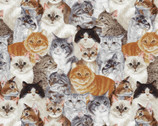 Allover Cats Multi from David Textiles Fabrics
