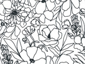 Illustrations CANVAS - Florals Paper White 11507 15CV by Alli K Design from Moda Fabrics