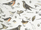 Botanicals - Birds Parchment Natural 16910 11 by Janet Clare from Moda Fabrics