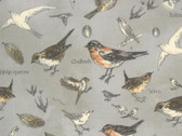 Botanicals - Birds Vintage Grey 16910 12 by Janet Clare from Moda Fabrics