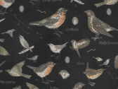 Botanicals - Birds Charcoal 16910 16 by Janet Clare from Moda Fabrics