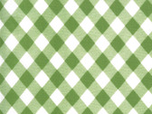 Sunday Stroll - Picnic Gingham Green 55227 20 by Bonnie and Camille from Moda Fabrics