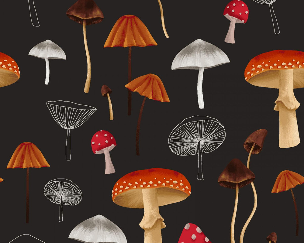 Midnight Flora - Mushrooms Black by Melissa Lowry from Clothworks ...