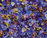 Hand Picked First Light - Pansies Violet Royal by Nicholas Lapp from Maywood Studio Fabric