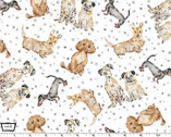 Paws Up - Precious Pets Dogs Gray from Michael Miller Fabric