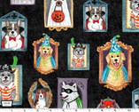 Howl O Ween - Canine Court Portraits Black from Michael Miller Fabric