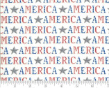 America The Beautiful - Words Star White 19983 12 by Deb Strain from Moda Fabrics