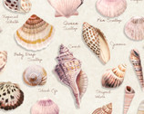 Seashell Wishes - Shells Lt Khaki by Diane Neukirch from Clothworks Fabric