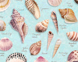 Seashell Wishes - Shells Lt Aqua by Diane Neukirch from Clothworks Fabric