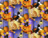 Halloween - Cat Fairies Multi from David Textiles Fabrics
