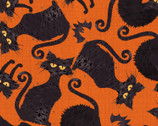 Boo Y’all - Cats and Bats Orange by Courtney Morgenstern from 3 Wishes Fabric