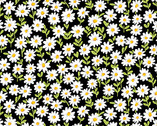Sunny Bee - Daisies Black from Andover Fabrics