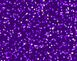Pixies and Petals - GLOW in DARK Tossed Petals Purple from Henry Glass Fabric