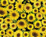 Sunflower Sunrise - Sunflowers Black from Kanvas Studio Fabric