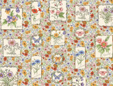 Garden Stroll - Flower Frames Cream by Kris Lammers from Maywood Studio Fabric