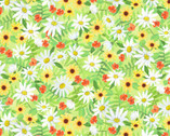 Spring’s Wings - Daisies by Kathy Kehoe Bambeck from P & B Textiles Fabric