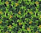 St. Patrick’s Day - Packed Clover Green from EE Schenck Fabric