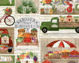 Locally Grown - Market Patch Multi by Beth Albert from 3 Wishes Fabric