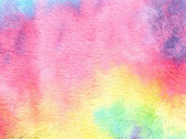 MINKY Plush Fur - Cheerful Rainbow from EE Schenck Fabric
