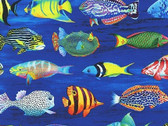 Coral Canyon - Fish Pacific Dk Blue from Robert Kaufman Fabrics
