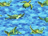 Copy of Coral Canyon - Turtles Azure from Robert Kaufman Fabrics