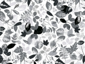 Great Outdoors - Camping Falling Leaves White from Kanvas Studio Fabric
